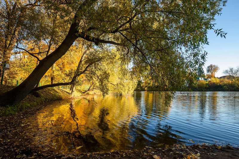 Осеньphoto preview