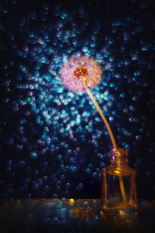 moment, момент, beautiful, красивый,  bokeh, боке, magical, волшебное,  manual lens, мануальная оптика, helios-44m,  dandelion, одуванчик,  still life, натюрморт, cold, холодный, light, свет, mystery, тайна, space, космическое, космос, Родом из космоса…photo preview
