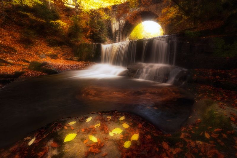 Златна есенphoto preview