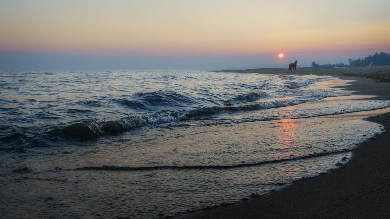 россия, сибирь, байкал, прибой, утро,восходящее солнце,конь,дымка,песок,russia, siberia, baikal, surf, morning, rising sun, horse, haze, sand Доброе утро !photo preview