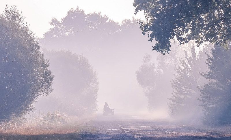 Сколько чудес за туманами кроетсяphoto preview