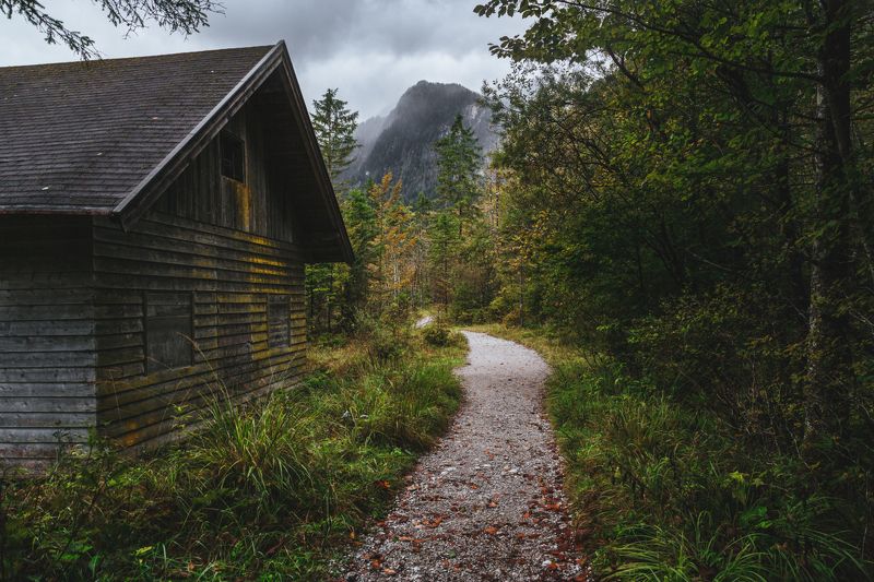 гора; лес; осень; туризм Путеводная нить...photo preview