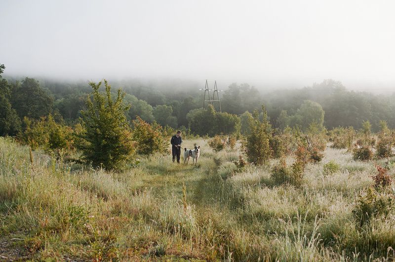 Вместе весело шагатьphoto preview