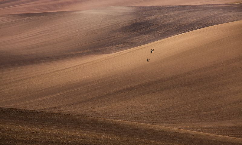 Moraviaphoto preview