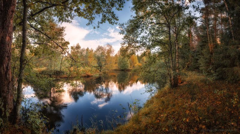 золотая - тихая...photo preview