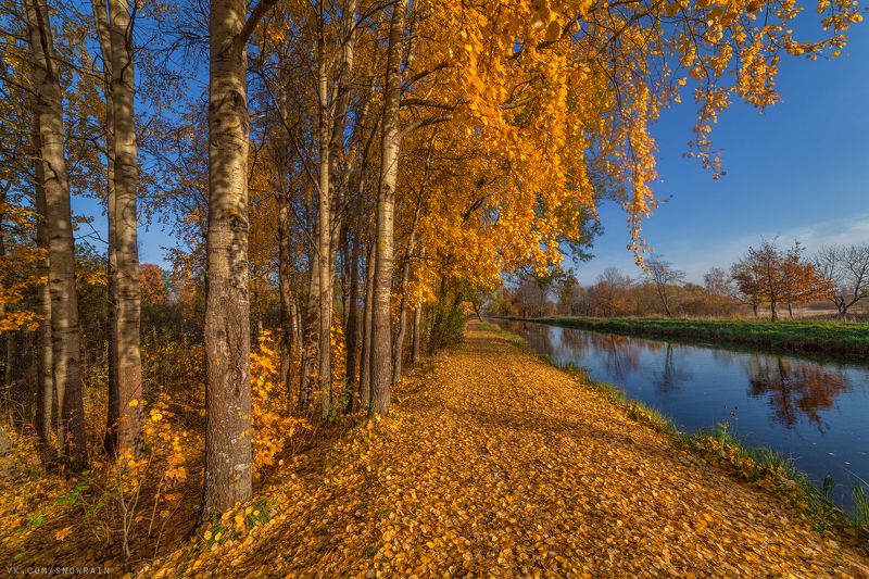пейзаж, природа, путешествия, travel, wildlife, nature, landscape, canon, осень, autumn, colours ***photo preview