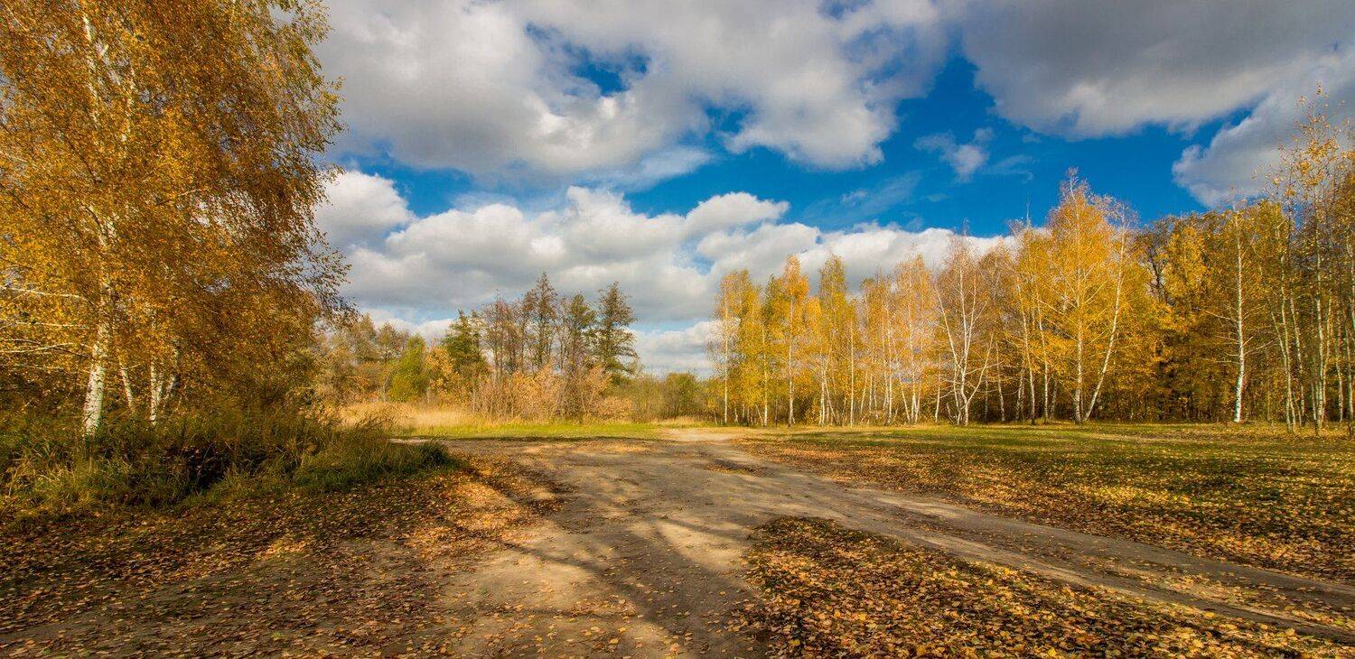 осень, лес, дорога, Руслан Востриков