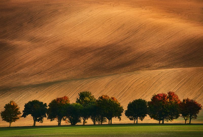 moravian fields grove alley Orange Grovephoto preview
