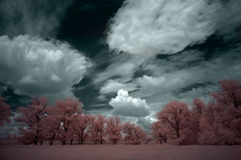 пейзаж, инфракрасный, фильтр,небо, облака, infrared,landscape.canon,canonlens,oleg_grachev IRreal world by Oleg Grachevphoto preview