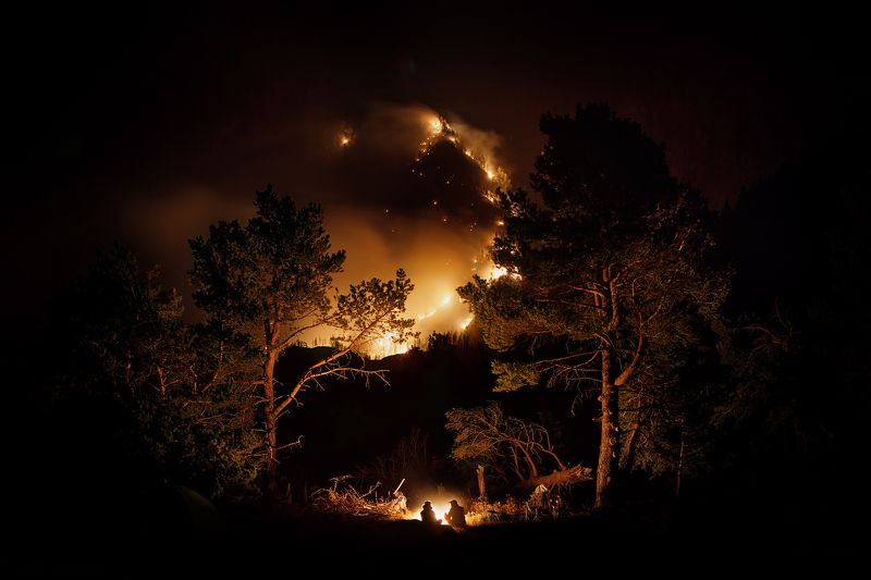 пожар, лес, ночь, костер, сосны, инь, ян Инь-Янphoto preview