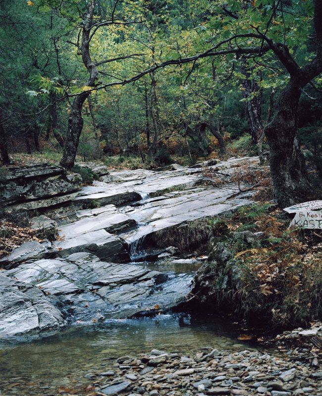 6486895photo preview