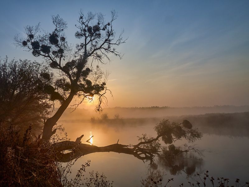 На восходеphoto preview