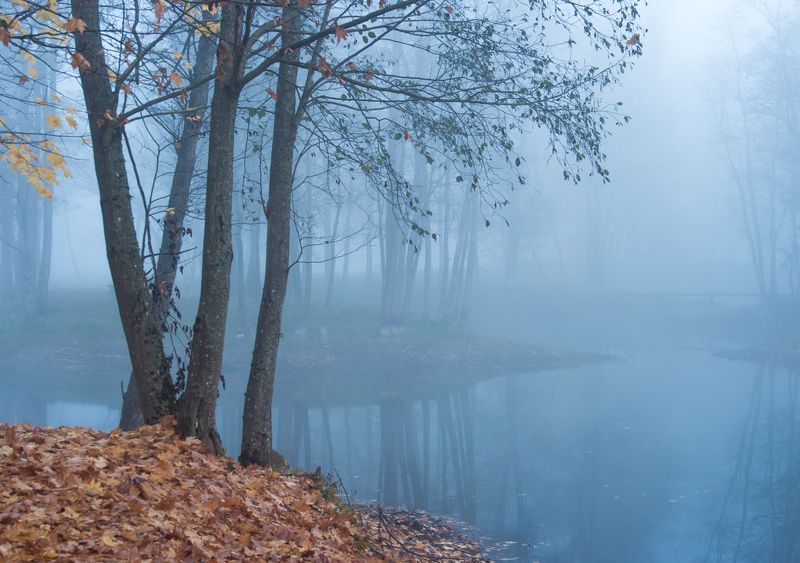 Foggy morningphoto preview