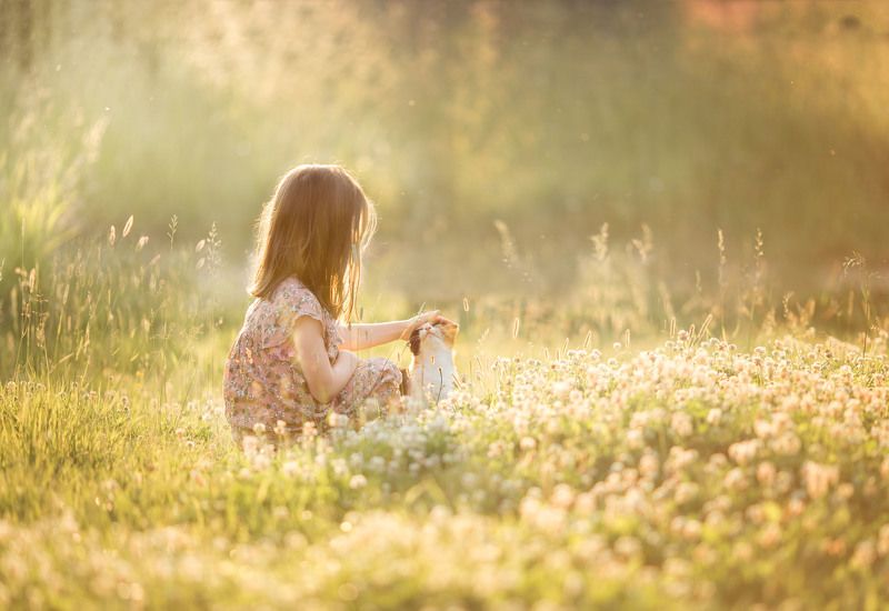 дружба, лето Дружбаphoto preview