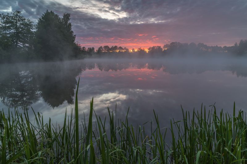 утро, рассвет, озеро, туман Перед восходомphoto preview