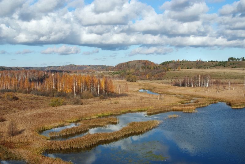 псков, изборск, осень, краски Изборский ландшафт фото превью