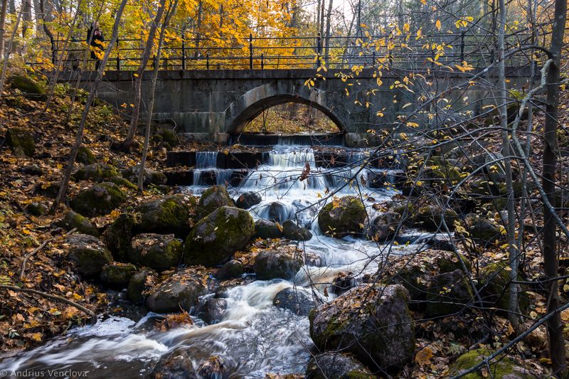 Мостик в паркеphoto preview