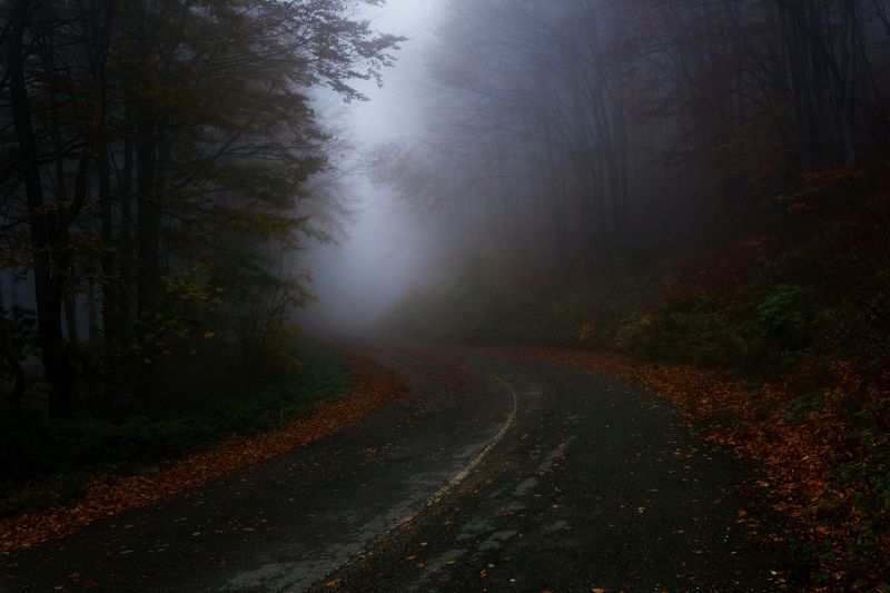 Enchantedphoto preview