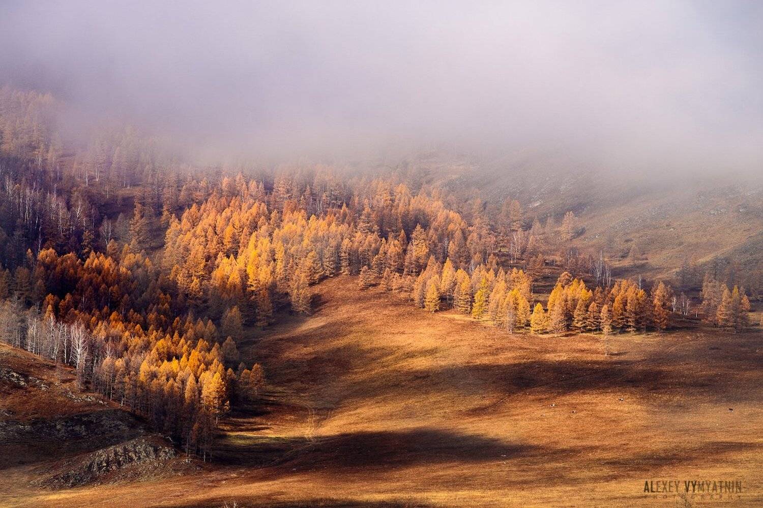 ***. Автор: Алексей Вымятнин алтай, сибирь, горы, altay, siberia, mountains, Алексей Вымятнин