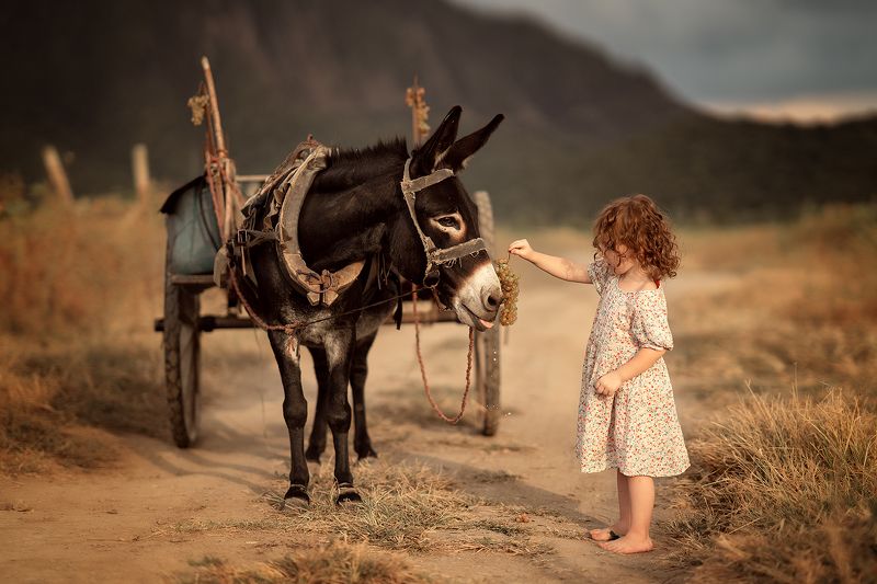 Угощайся, друг!photo preview