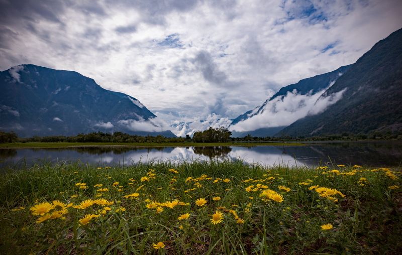 ЮБТОphoto preview