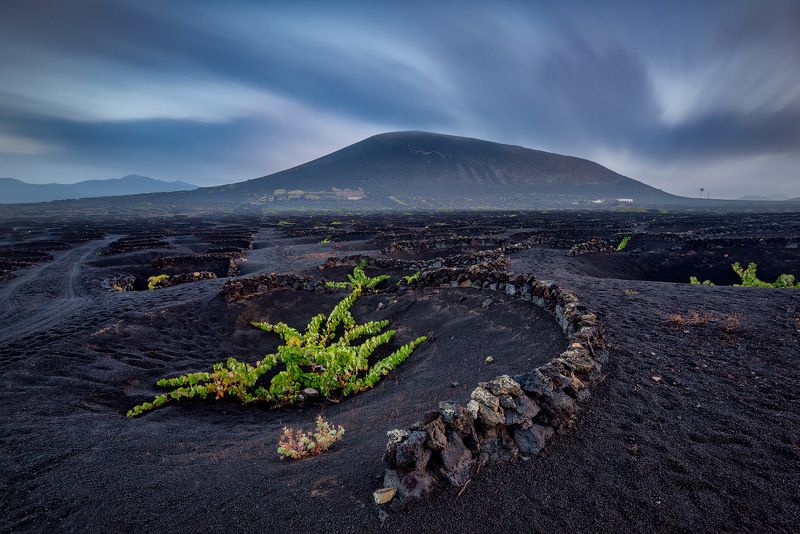 canary islands, canary, island, volcano, vino, wine, volcanic, atlantic, holidays,morning La Geriaphoto preview