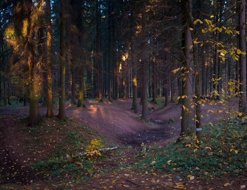 Осень в лесуphoto preview