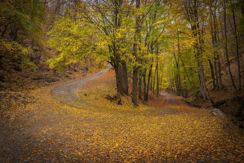 крым, crimea, осень, заповедник, дорога, алушта, монастырь Серпантины Крымских горphoto preview