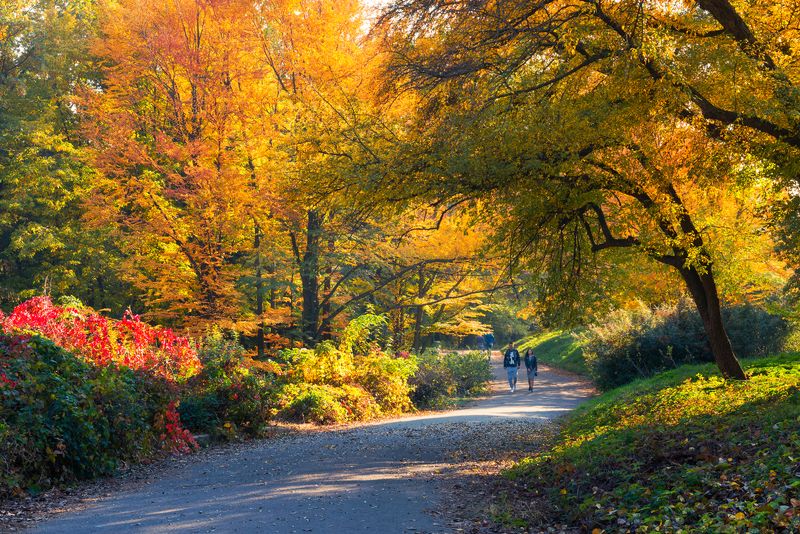 осень, октябрь, парк В цветастом великолепиеphoto preview