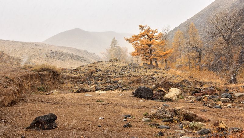 Холодным днём, шёл снег с дождём...photo preview