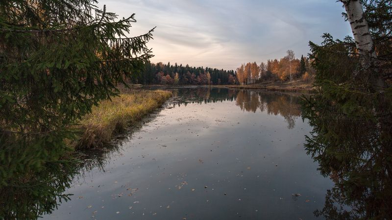 Вечер, Абрамцево, Октябрь, Воря, Подмосковье Знаешь...photo preview