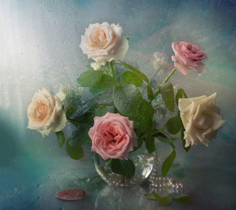 Розыphoto preview