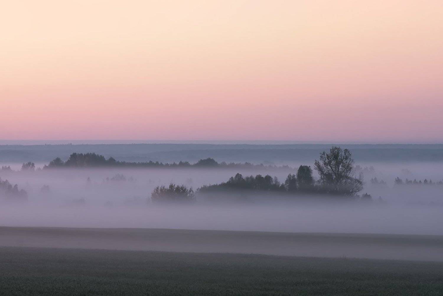 , Геннадий Новов