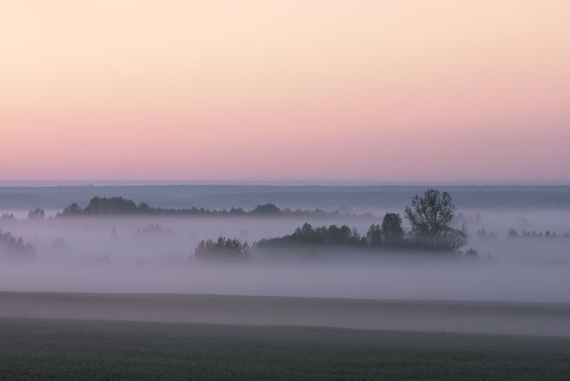 Сиреневый туманphoto preview
