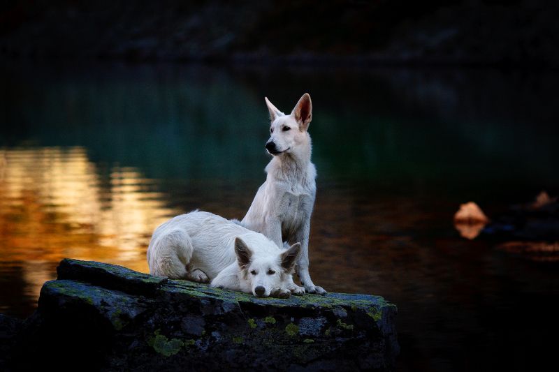 бшо На Дуккинских озёрах фото превью