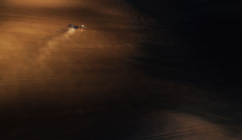 landscape, moravian fields sower Light Sowerphoto preview