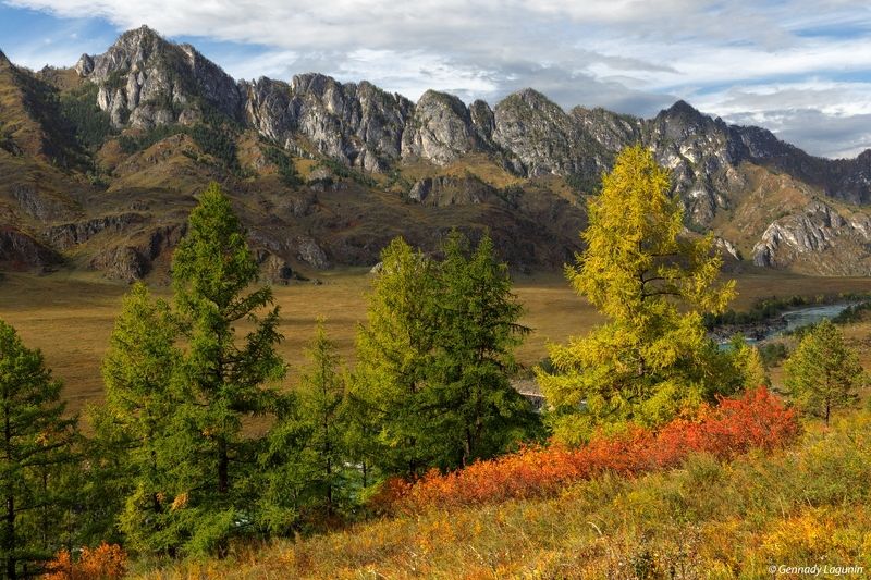 алтай, altai, осень, autumn, горы, mountains, Крадется осень по Алтаю....photo preview