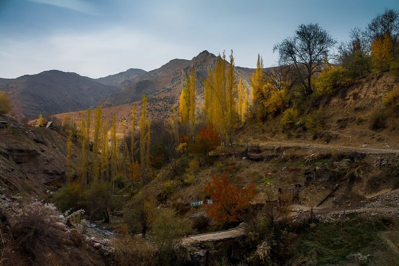 Аксарсайская осеньphoto preview