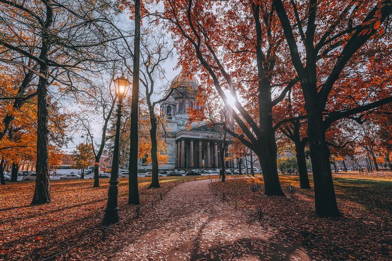 #осень #природа #город #листья #autumn #city Осеньphoto preview