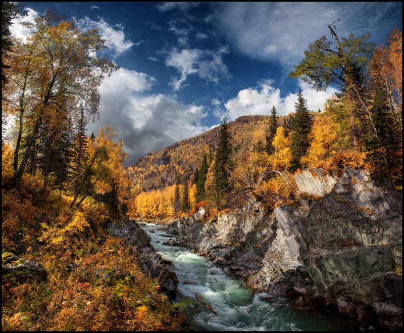 алтай, осень, кумир, река, вода, горы, каньон, золото Река в Золотых Берегахphoto preview