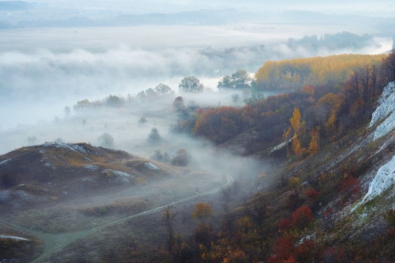 воронеж Дорога в туманphoto preview
