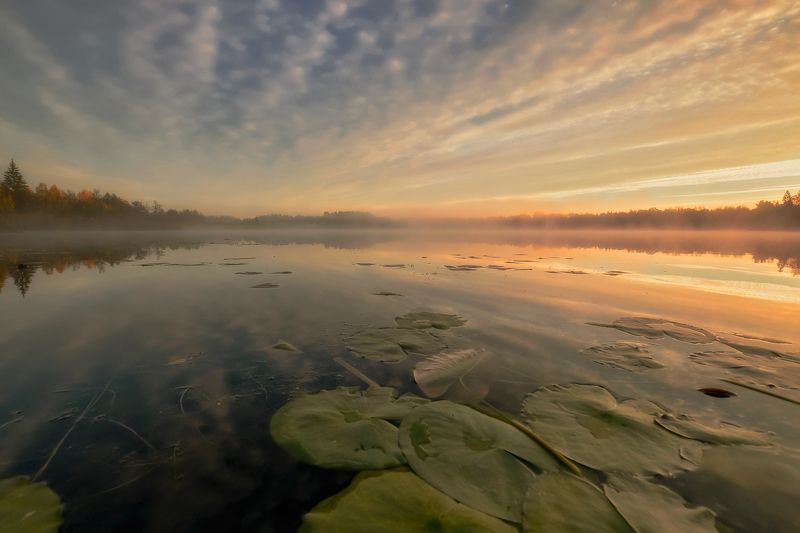 Morningphoto preview