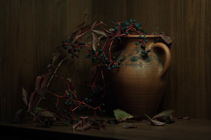 Дикий виноградphoto preview