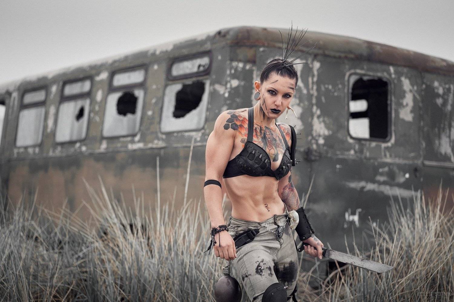 Автор: Олег Сотник , Олег Сотник