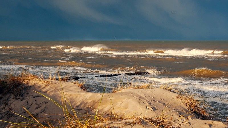 Про янтарную волнуphoto preview