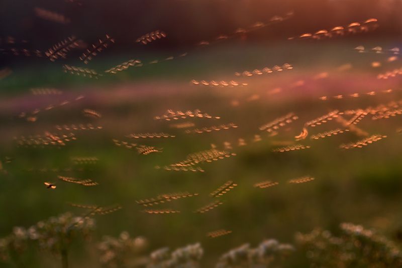 180 взмахов в секундуphoto preview