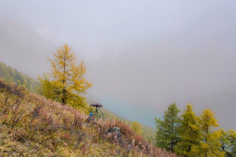 алтай,осень в ожидании появления волшебного светаphoto preview