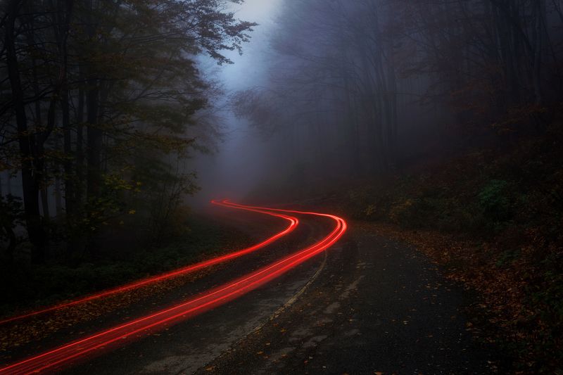 Enchanted 2photo preview