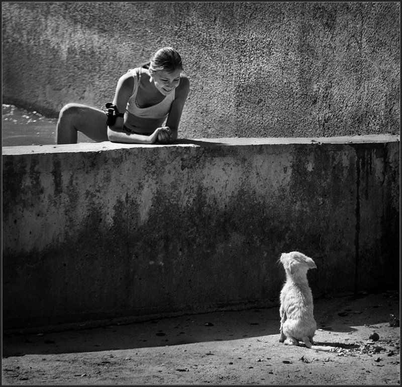 Друзья познаются в беде ...photo preview