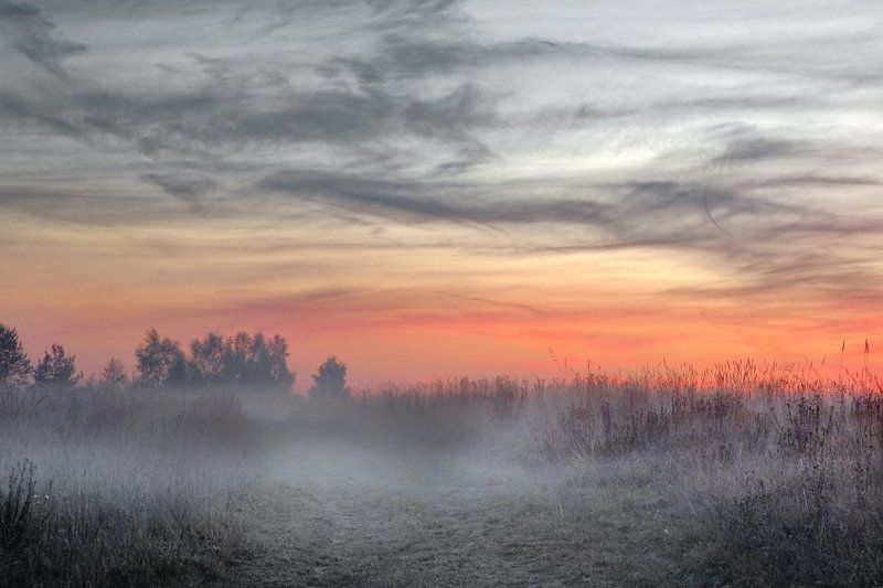 Туман наступаетphoto preview